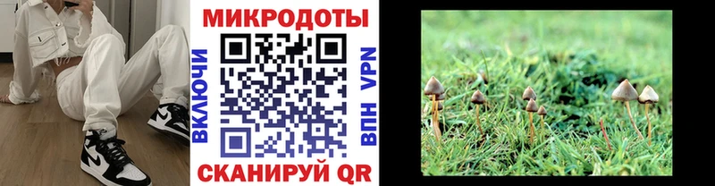 Галлюциногенные грибы мицелий darknet официальный сайт Павлово