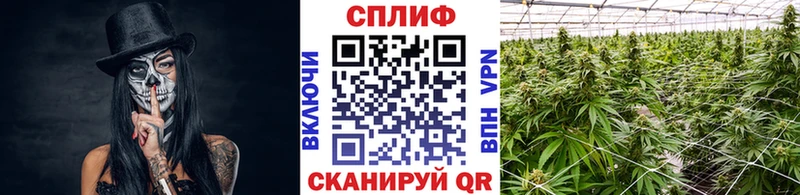 Канабис AK-47 Павлово
